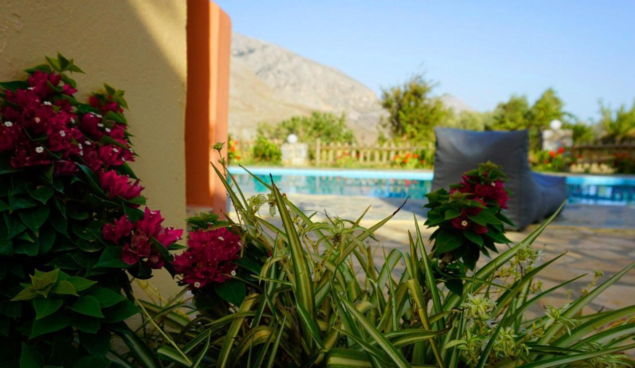 Villa Despina 1 Plakias Private Villa, Private Swimming Pool Garden,Amazing View Lefkogeia Exterior foto